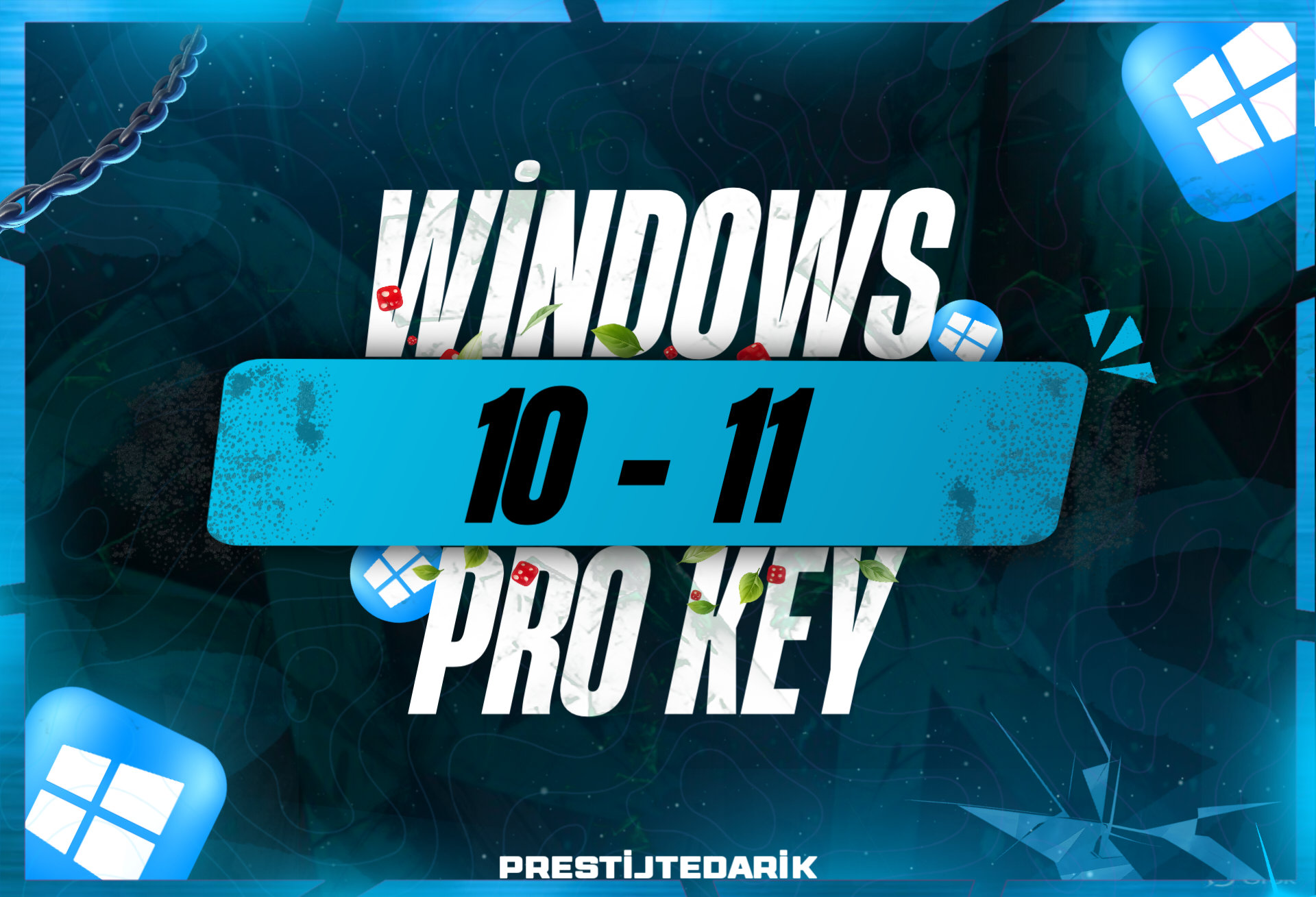 Windows 10/11 Key